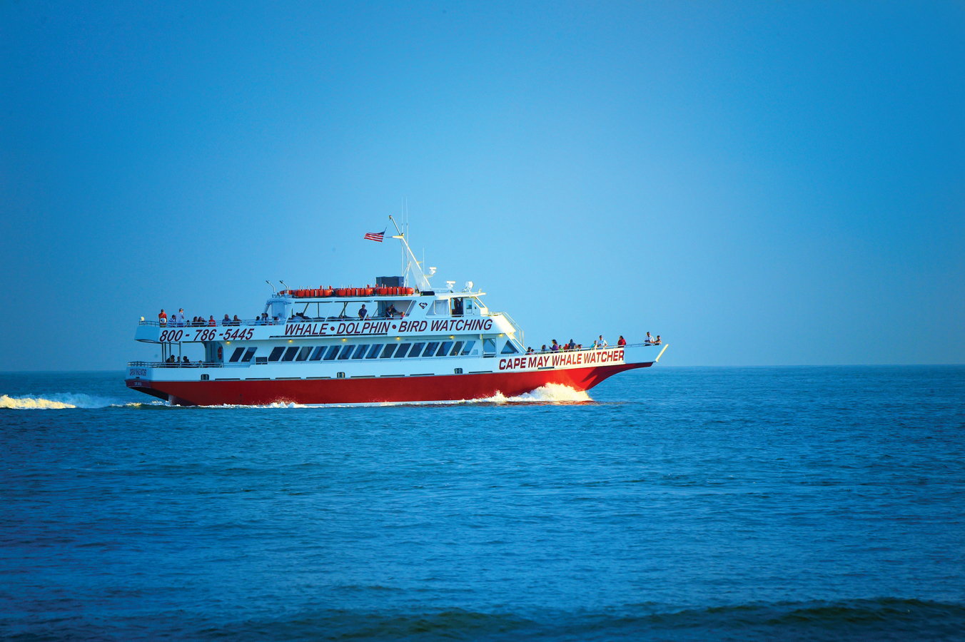 Image: Whale Watcher Sunset Cruise with Animal House Band